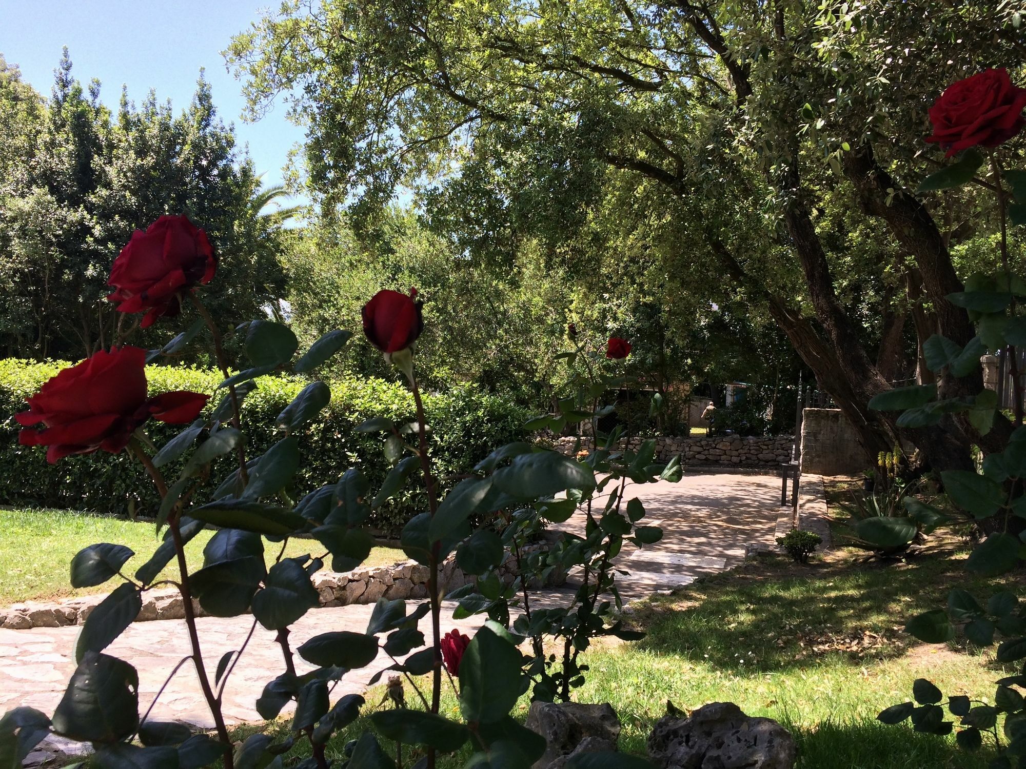 Hotel Posada La Robleda (Adults Only) Арнуэро Экстерьер фото